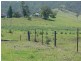 310 Fawcetts Plains Road, Kyogle NSW 2474