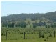 310 Fawcetts Plains Road, Kyogle NSW 2474