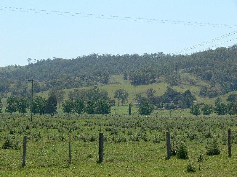 310 Fawcetts Plains Road, Kyogle NSW 2474