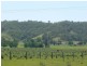 310 Fawcetts Plains Road, Kyogle NSW 2474
