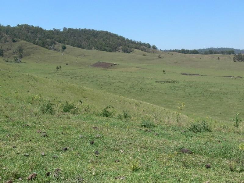 310 Fawcetts Plains Road, Kyogle NSW 2474