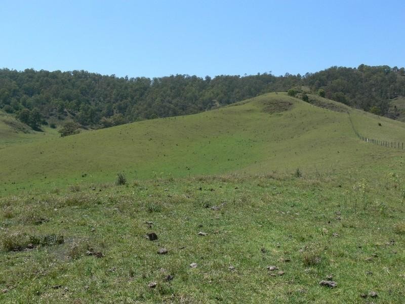 310 Fawcetts Plains Road, Kyogle NSW 2474
