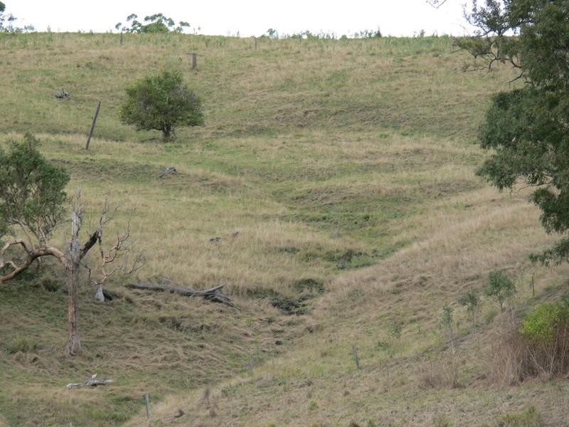 68 Killaloe Road, Kyogle NSW 2474