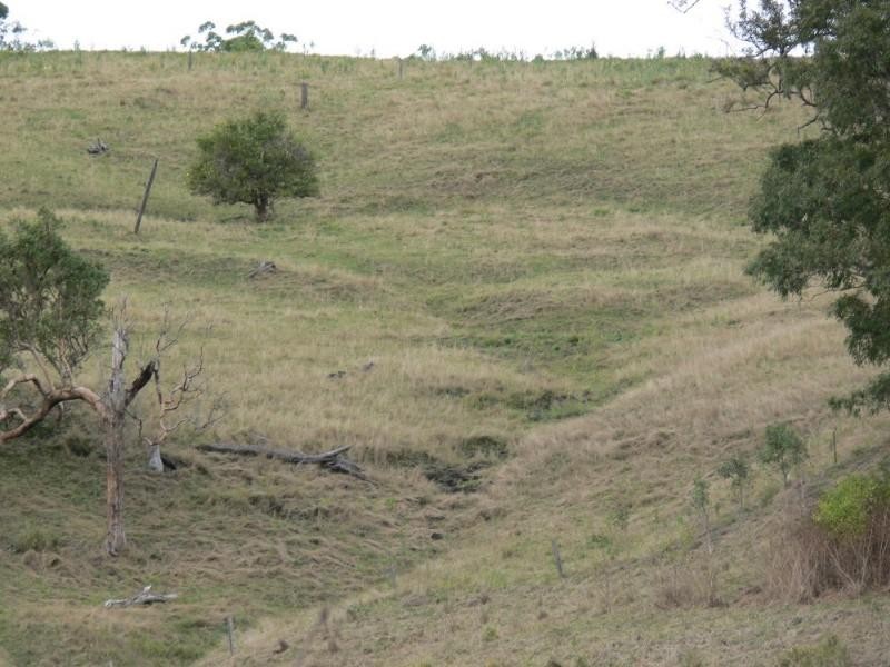 68 Killaloe Road, Kyogle NSW 2474