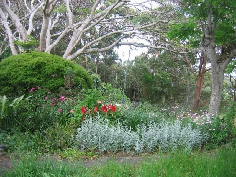 Rileys Hill NSW 2472