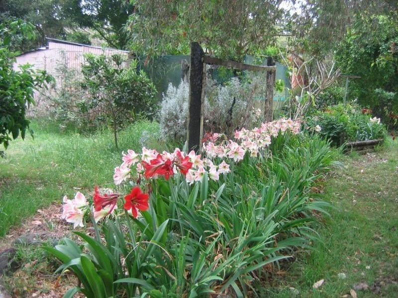 Rileys Hill NSW 2472