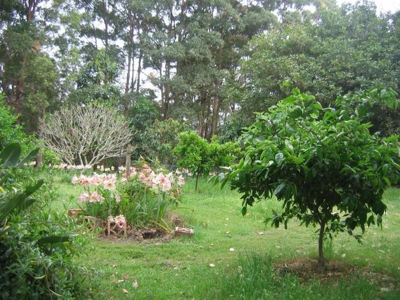 Rileys Hill NSW 2472