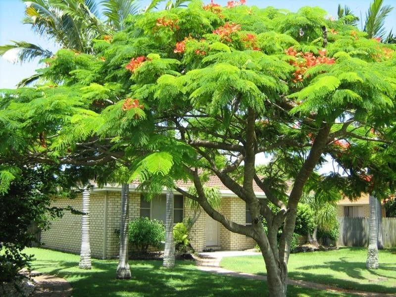 East Ballina NSW 2478