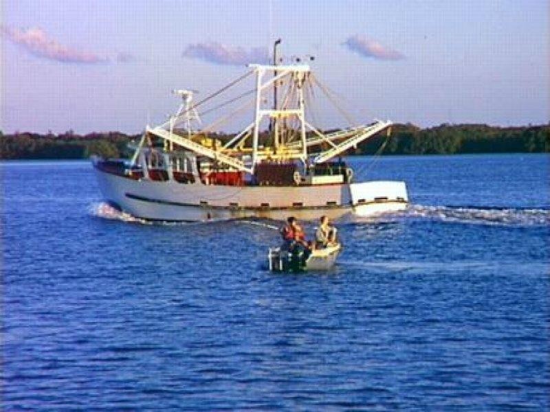 Lot 1 Burns Point Ferry Road, Ballina NSW 2478