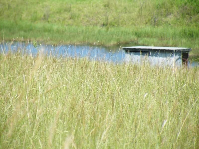 1130 Dyraaba Road, Dyraaba NSW 2470