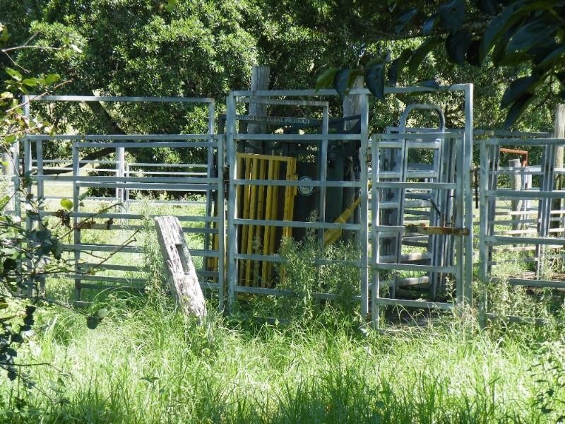 1130 Dyraaba Road, Dyraaba NSW 2470