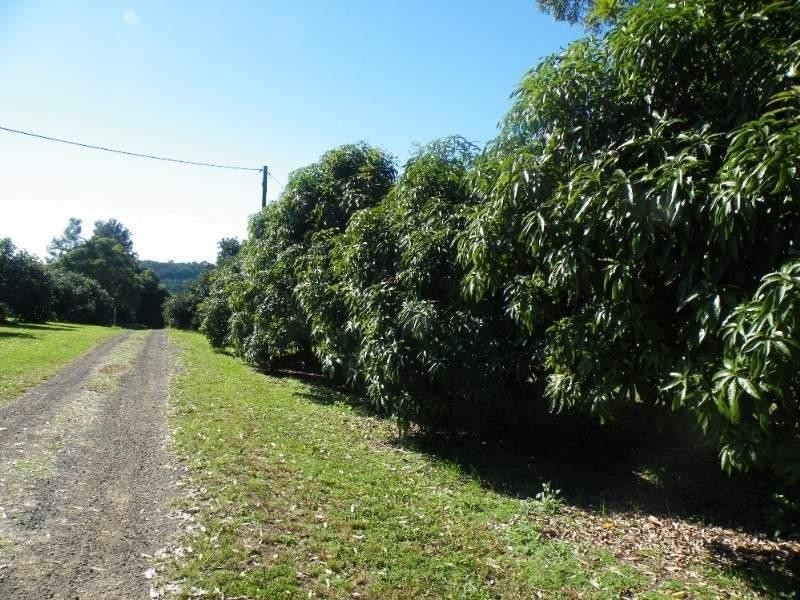 181 Goremans Road, Eureka NSW 2480