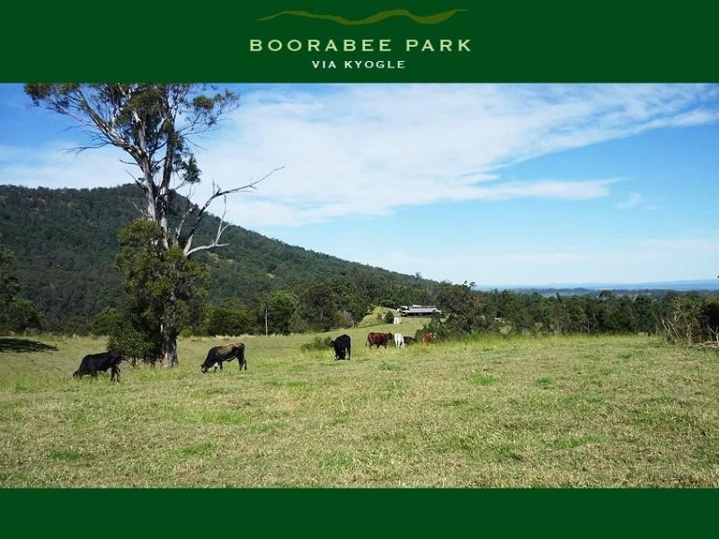 Boorabee Park NSW 2480