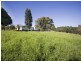Tintenbar NSW 2478