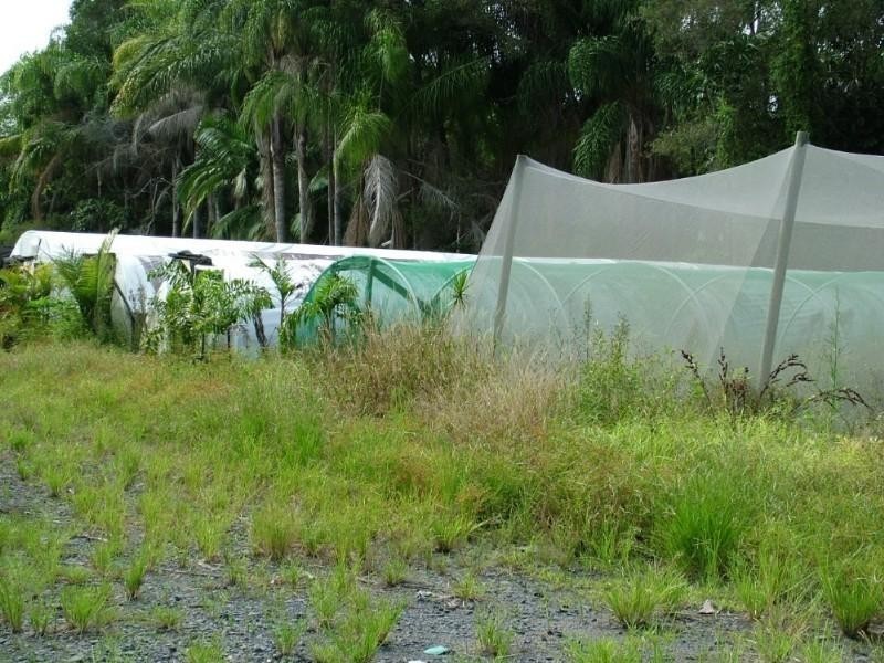 540 Pimlico Road, Pimlico NSW 2478