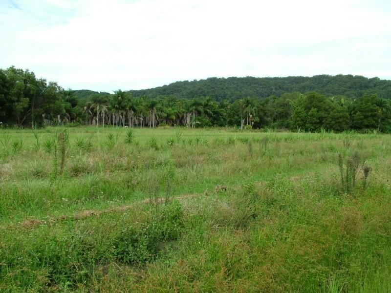 540 Pimlico Road, Pimlico NSW 2478