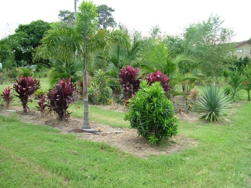 540 Pimlico Road, Pimlico NSW 2478