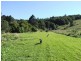 1162 Wardell Road, Meerschaum Vale NSW 2477