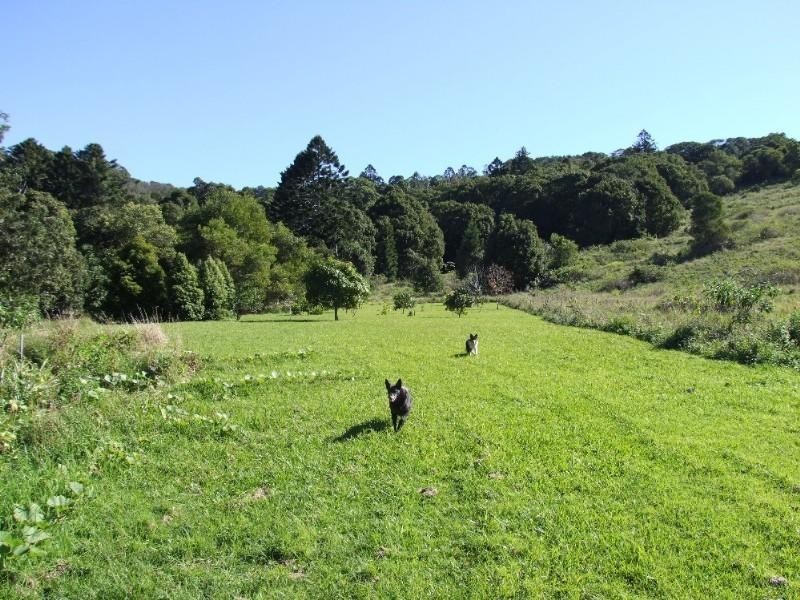 1162 Wardell Road, Meerschaum Vale NSW 2477