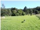 1162 Wardell Road, Meerschaum Vale NSW 2477