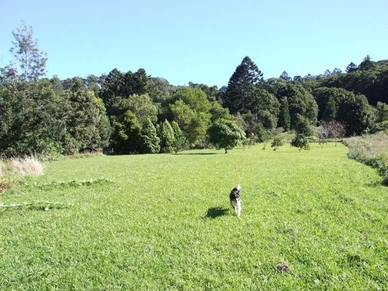 1162 Wardell Road, Meerschaum Vale NSW 2477