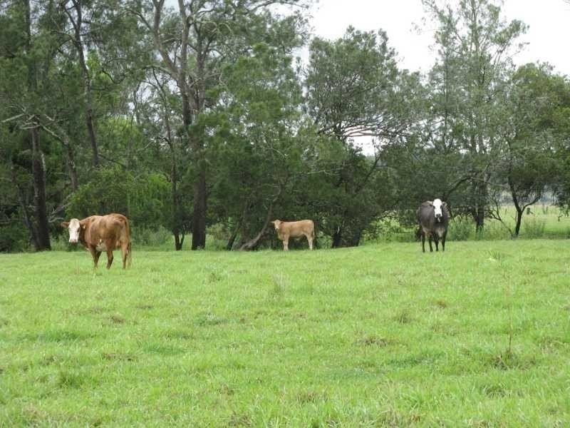 422 Mockharra Lane, Kyogle NSW 2474