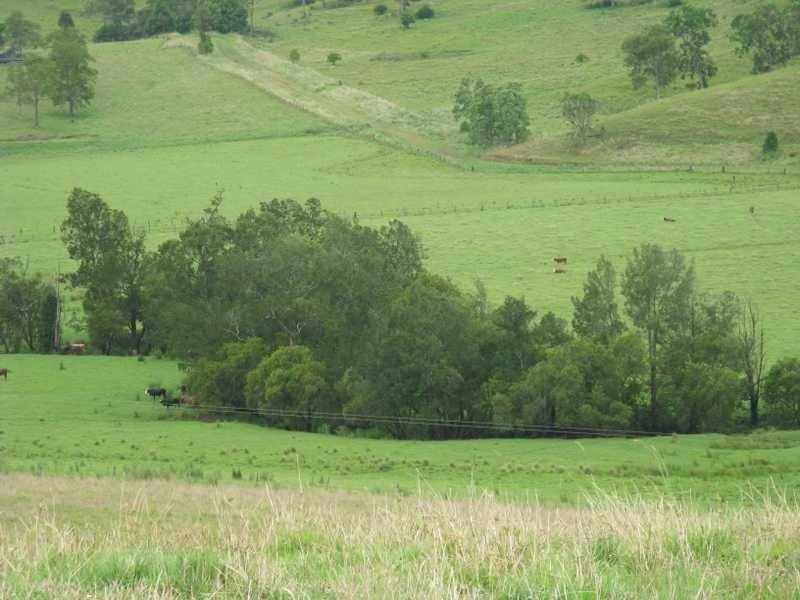 422 Mockharra Lane, Kyogle NSW 2474