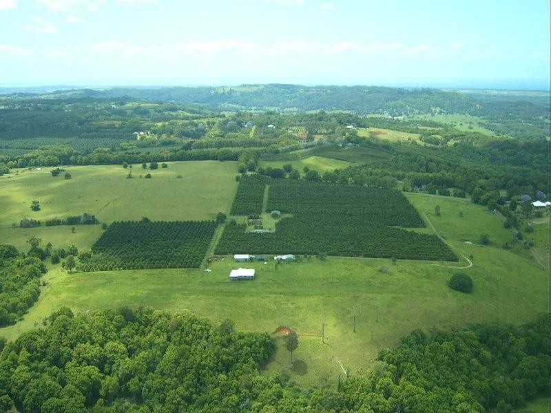 242 Cooks Lane, Alstonville NSW 2477