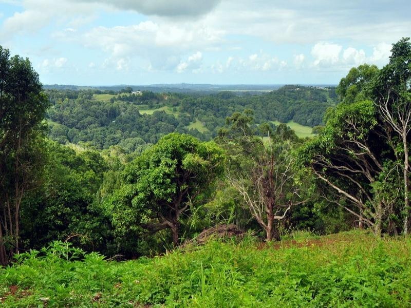 450 Uralba Road, Uralba NSW 2477