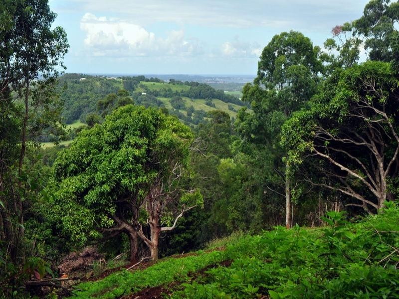 450 Uralba Road, Uralba NSW 2477