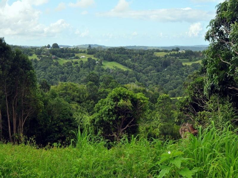 450 Uralba Road, Uralba NSW 2477