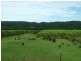 540 Pimlico Road, Pimlico NSW 2478