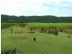 540 Pimlico Road, Pimlico NSW 2478