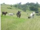 Lot 571 Afterlee Road, Kyogle NSW 2474