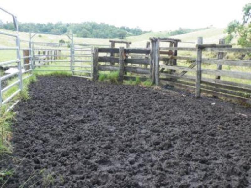 Lot 571 Afterlee Road, Kyogle NSW 2474