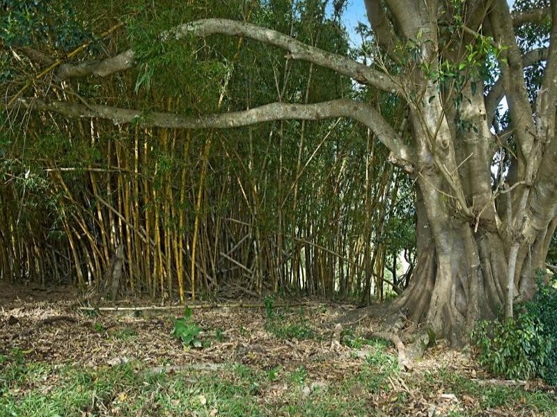 89 Fowlers Lane, Bangalow NSW 2479