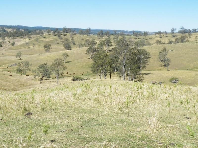 Lot 11 Iron Pot Creek Road, Ettrick NSW 2474