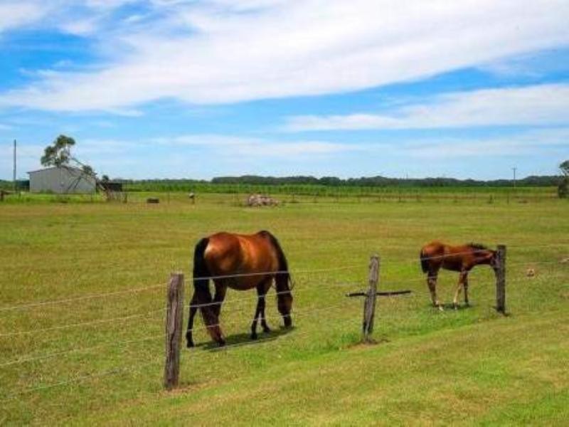 1102 River Drive, South Ballina NSW 2478