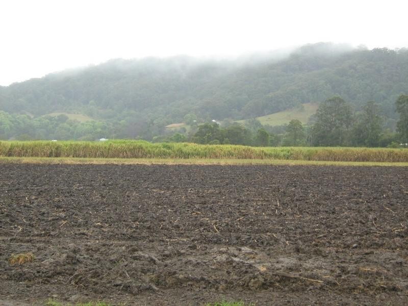 7 Whytes Lane, Pimlico NSW 2478