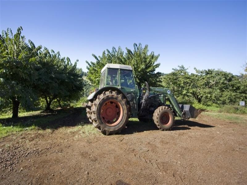 181 Goremans Road, Eureka NSW 2480