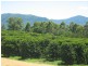 Nimbin NSW 2480