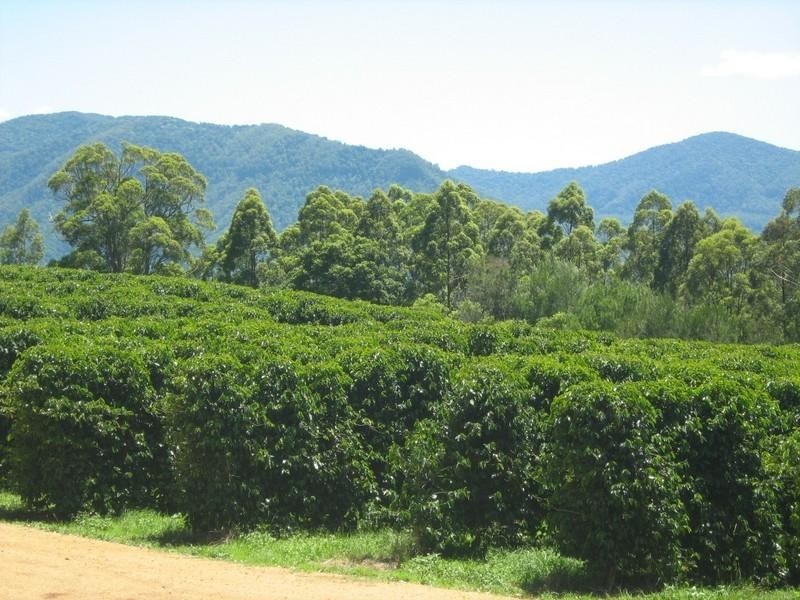 Nimbin NSW 2480