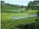 Nimbin NSW 2480