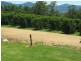 Nimbin NSW 2480