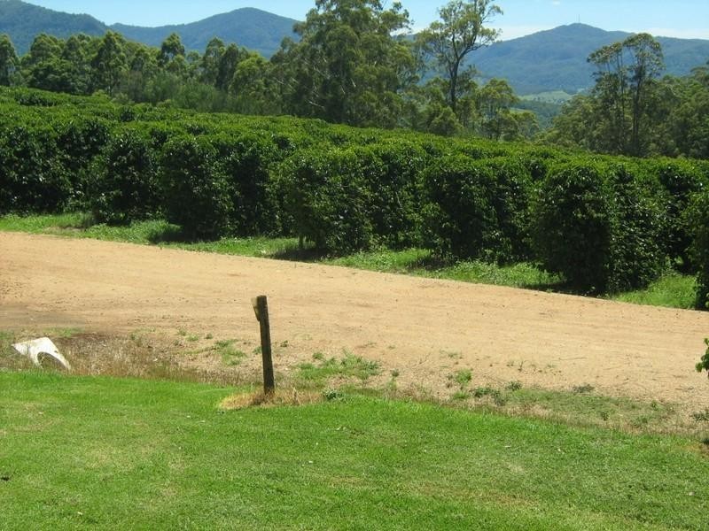 Nimbin NSW 2480