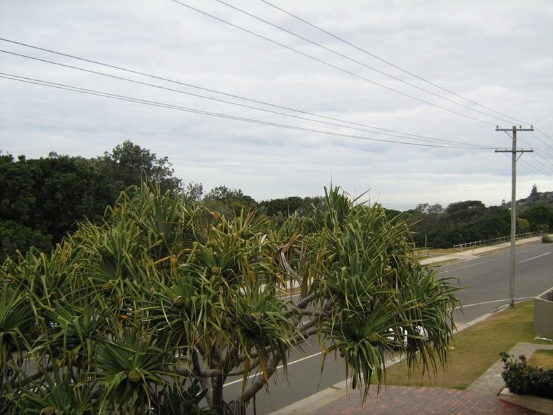 4/23 Shelley Beach Road, East Ballina NSW 2478