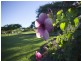 44 Pacific Heights Drive, Cumbalum NSW 2478