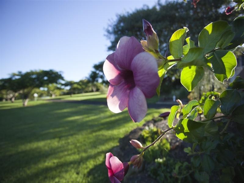 44 Pacific Heights Drive, Cumbalum NSW 2478