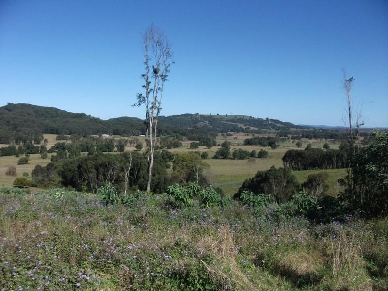 143 Bartletts Lane, Meerschaum Vale NSW 2477