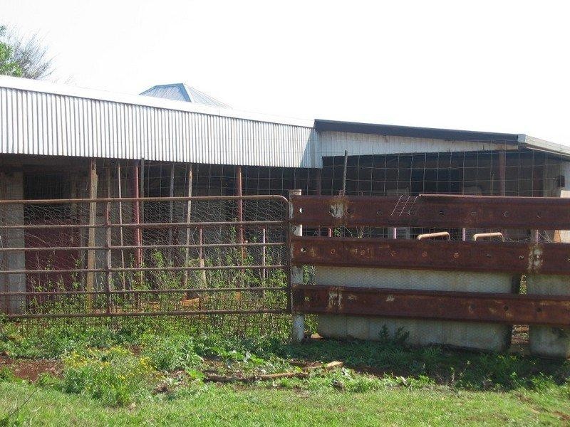 896 Wyrallah Road, Wyrallah NSW 2480
